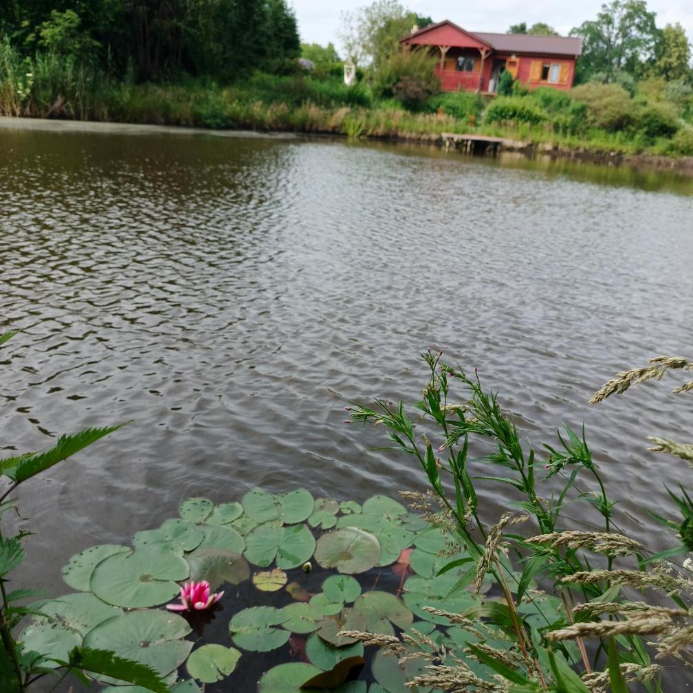 Siedlisko Julitkowo