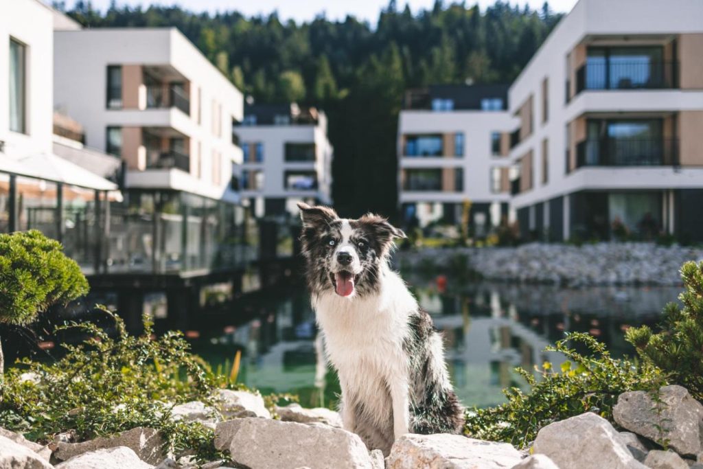VISLOW Resort