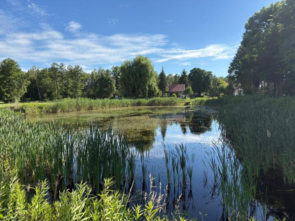 Farma Leśna