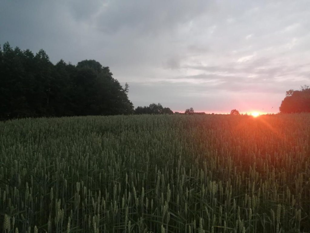 Gosciniec Uzmauda