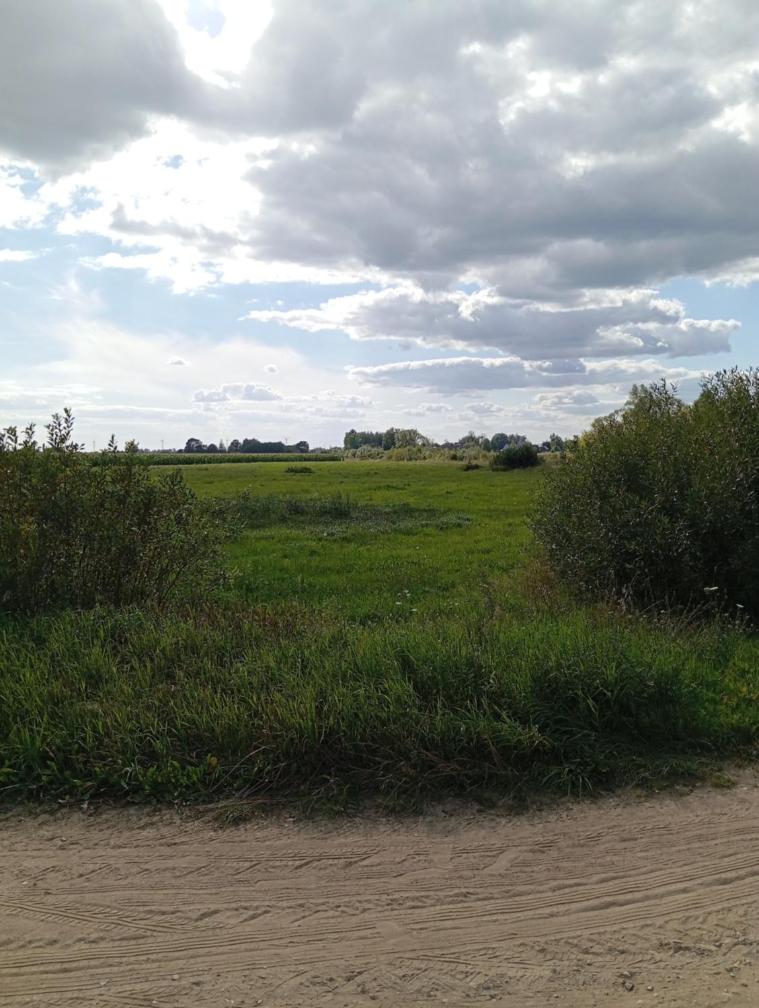 NAMIOT IMPREZOWY Podlasie nocleg