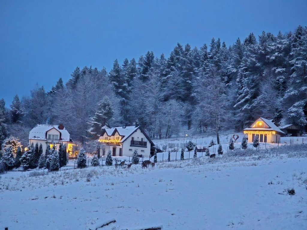 Noclegi Panorama – Domek RUSTIC