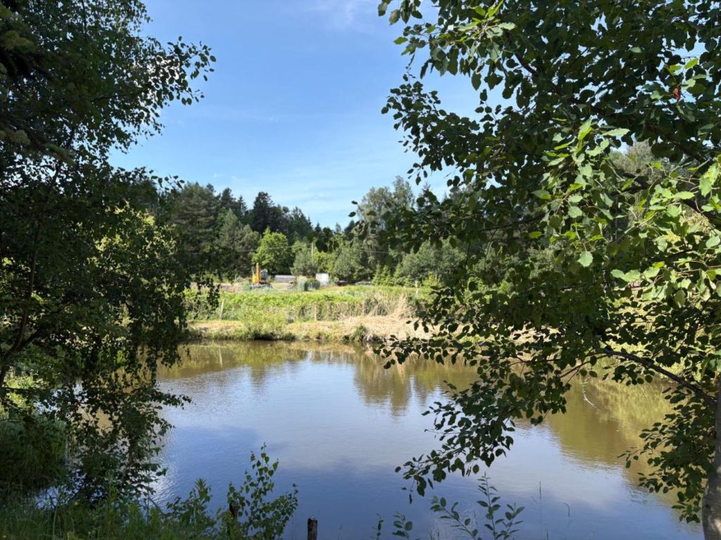 Sigła w sidłach